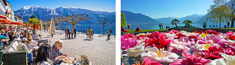 Herbst 2022 bis Frühling 2023